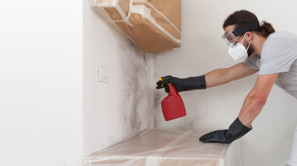 Professional Mold Remediation technician working in Divernon, IL