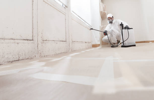 24/7 Emergency Mold Remediation experts in Divernon, IL