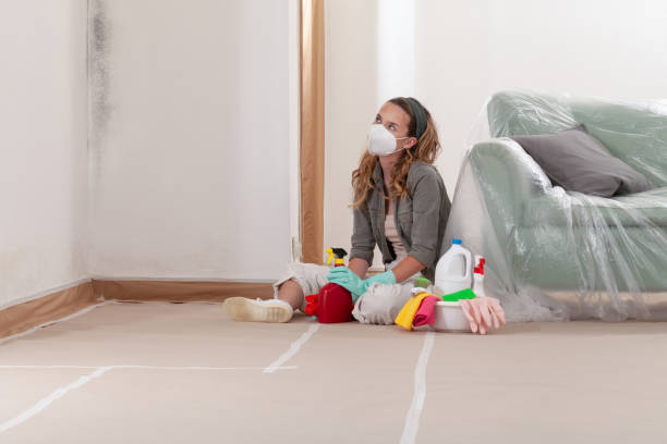 Reliable Mold Remediation contractor in Divernon, IL by 24 Hour Mold Removal